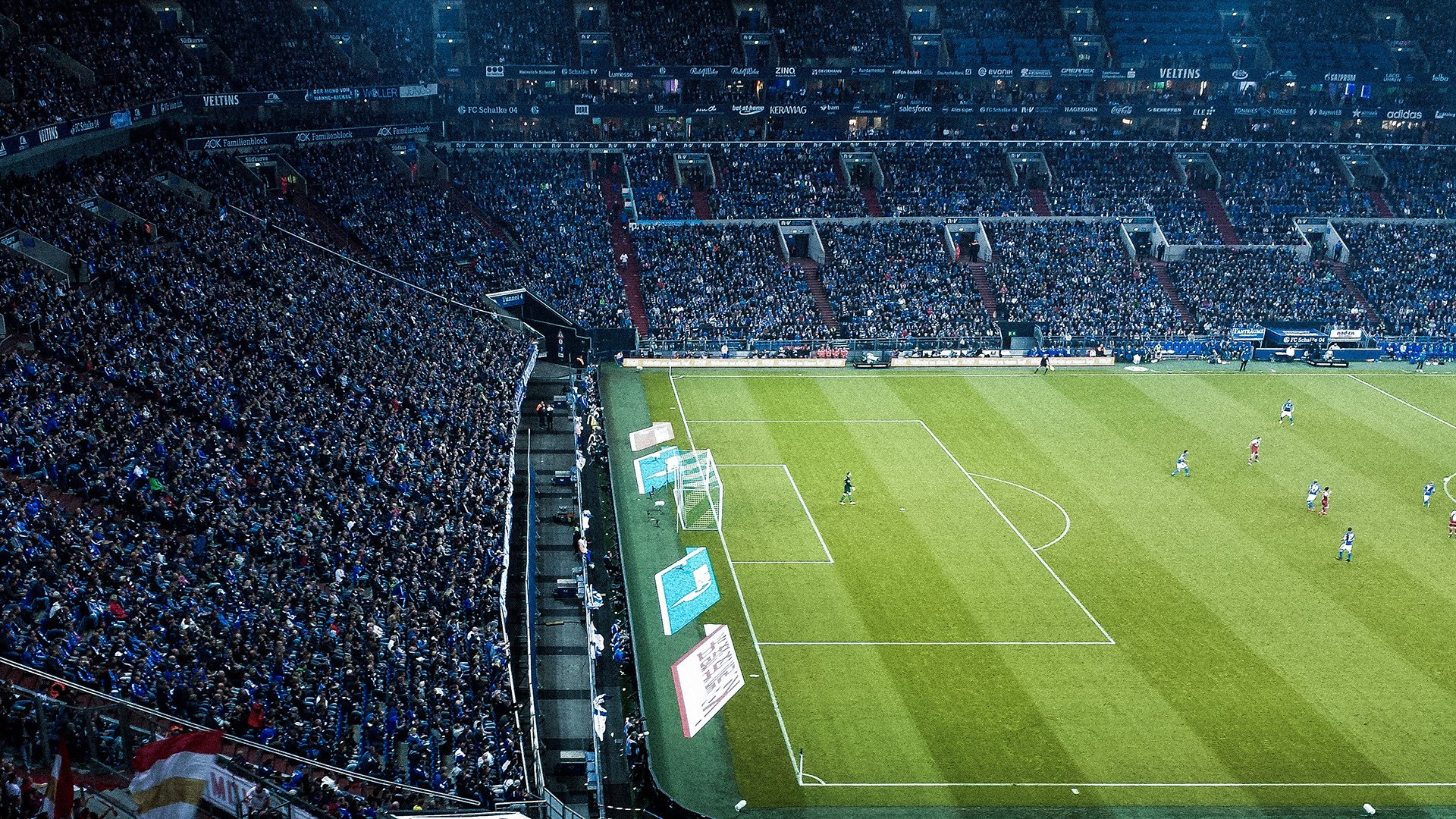 体育文化节精彩活动预告，体育文化节活动方案